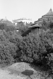 Straw huts