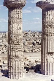 Greek temples at Selinute