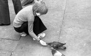 Simon feeding pigeons in algar Square