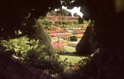 Formal Garden